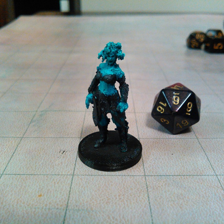 Gorgon for your Tabletop Game! image