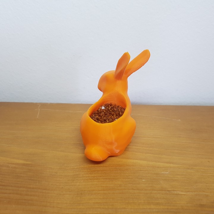 bunny cress-planter image