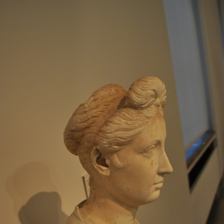 Portrait of a Roman Woman image