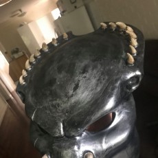 Picture of print of Predator mask