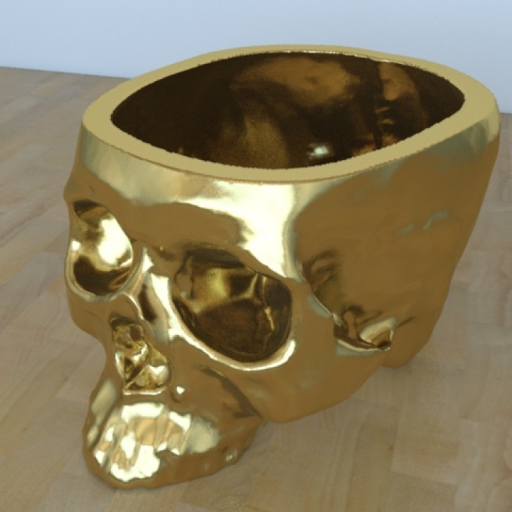 skull plant pot image