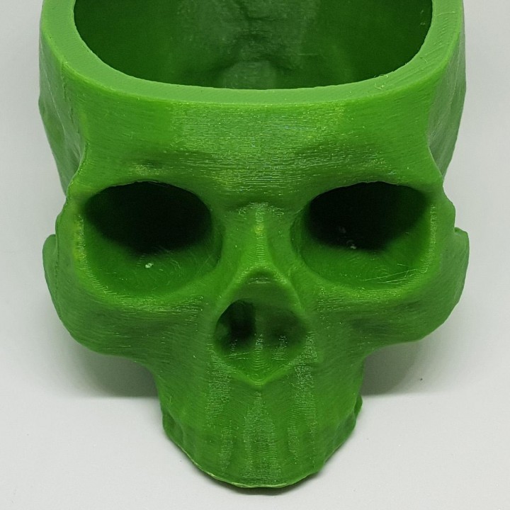 skull plant pot image