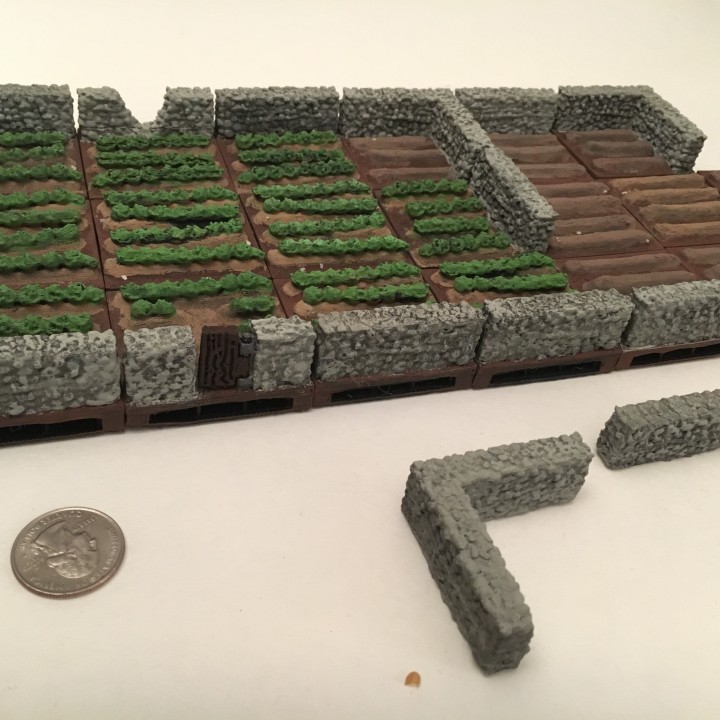 Lettuce and Unplanted Fields with Stone Walls image