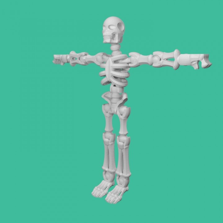 Skeleton image