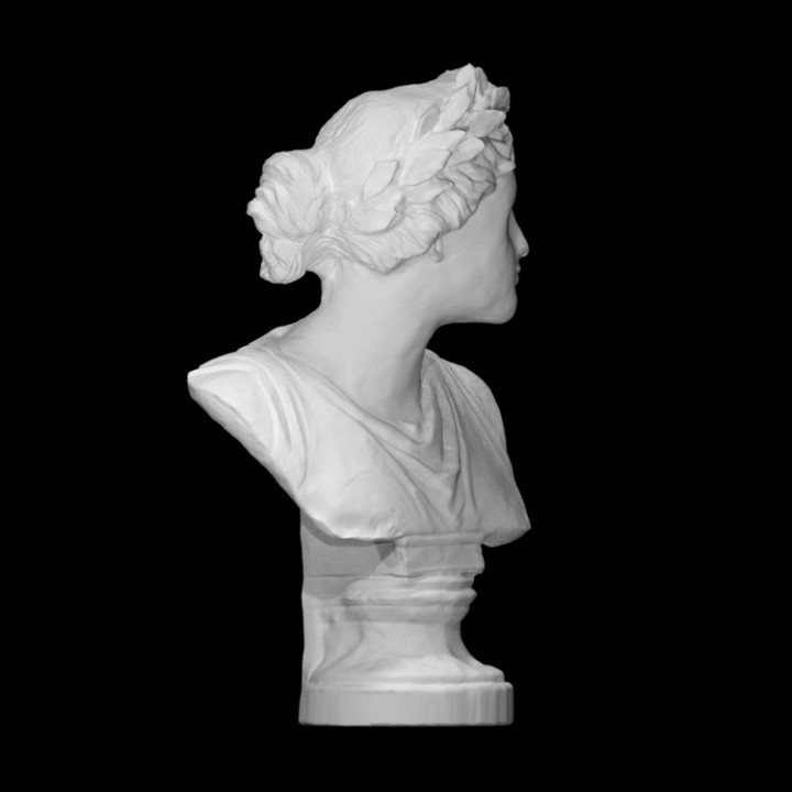 Bust of a Viktoria image