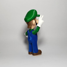 Picture of print of Luigi from Mario games - Multi-color