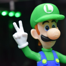Picture of print of Luigi from Mario games - Multi-color Cet objet imprimé a été téléchargé par Thirteen Lynch