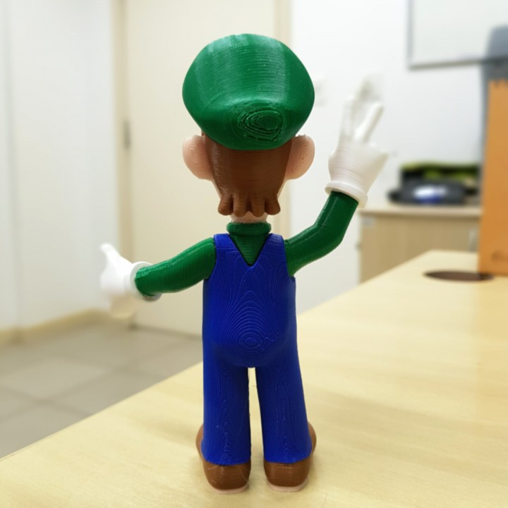 Luigi from Mario games - Multi-color image