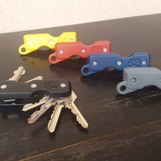 Picture of print of Proteus Key Holder