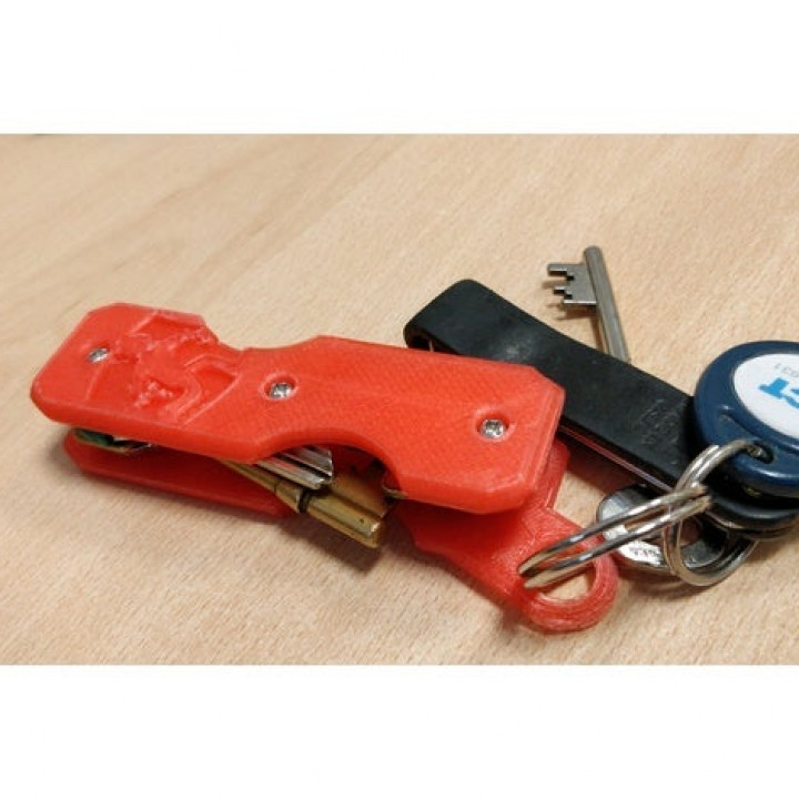 Proteus Key Holder image