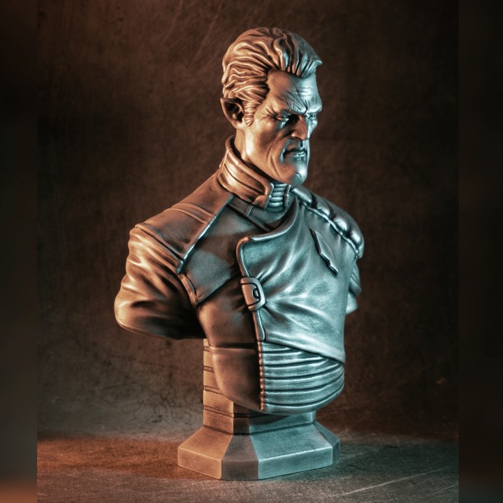 Admiral Gord Bust (Eastman Originals) image