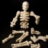 Build your own Skeleton. print image