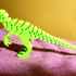 Flexi Raptor print image