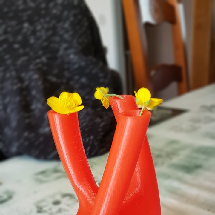 Three necks vase image