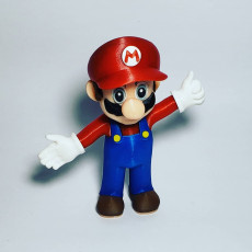 Picture of print of Mario from Mario games - Multi-color