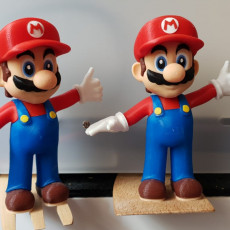 Picture of print of Mario from Mario games - Multi-color