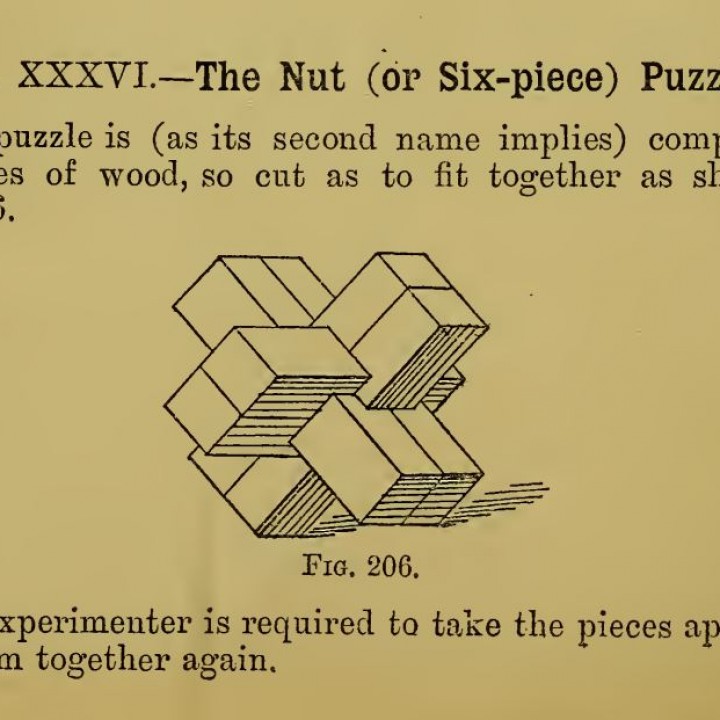 Hoffman's The Nut Puzzle image