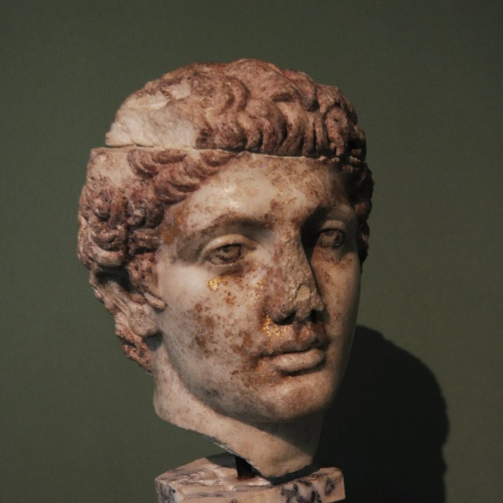 Head of a Young Man image