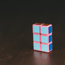 Picture of print of 1x2x3 Twisty Puzzle