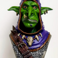 Picture of print of Snaggle The Wise - Goblin Hero
