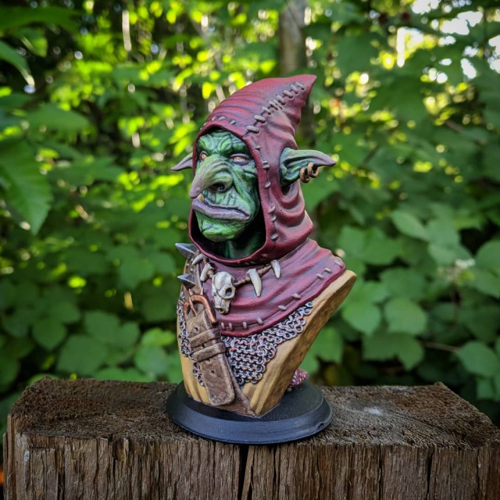 Snaggle The Wise - Goblin Hero image