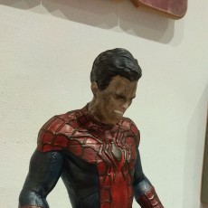 Picture of print of Spider-Man/Peter Parker