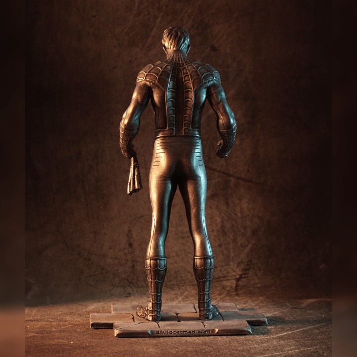 Spider-Man/Peter Parker image