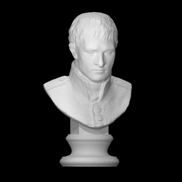 Napoleon Bonaparte image