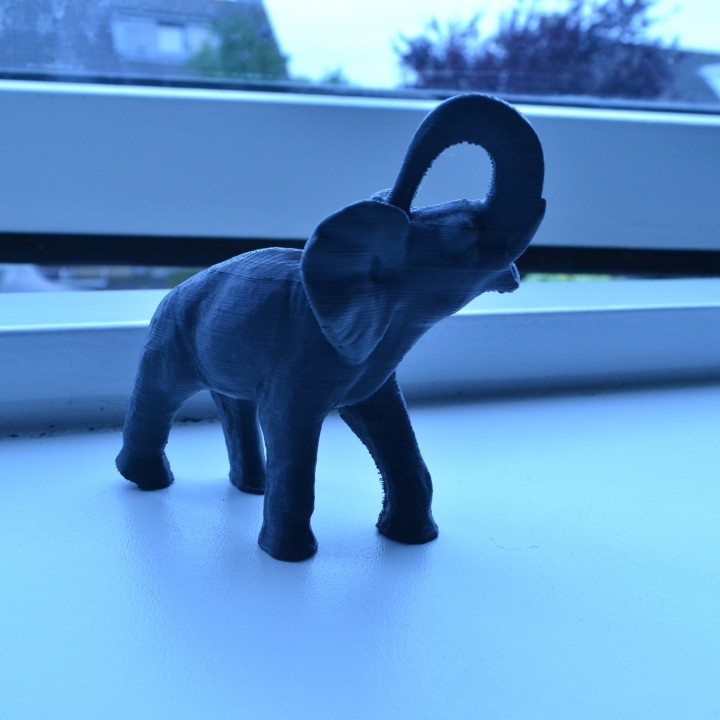Elephant image