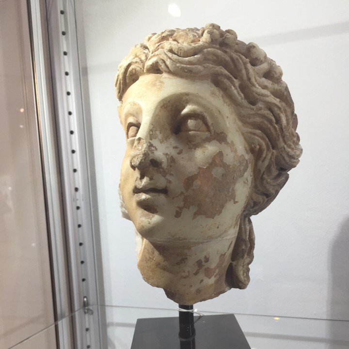 Woman's head image