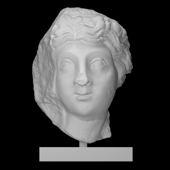 Woman's head image