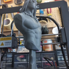 Picture of print of Conan the Barbarian bust