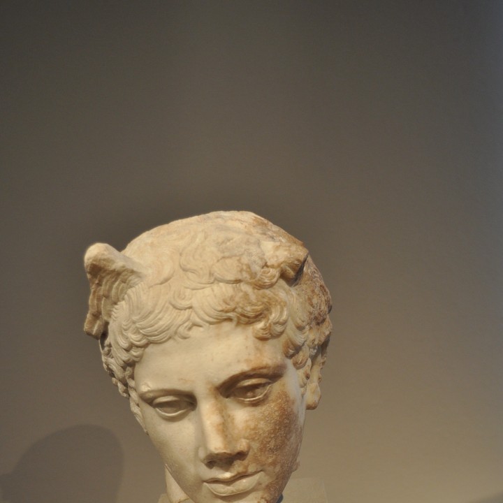 Head of Polykletian Discophoros image