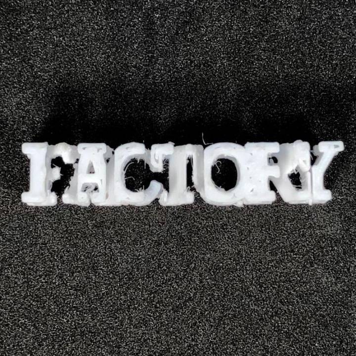 Text Flip, My Mini Factory image