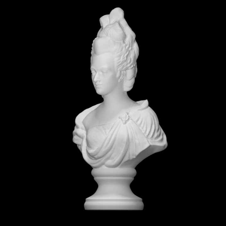 Portrait of Marie Antoinette image