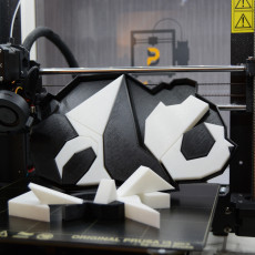 Picture of print of 3D Panda Puzzle