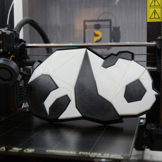 Picture of print of 3D Panda Puzzle
