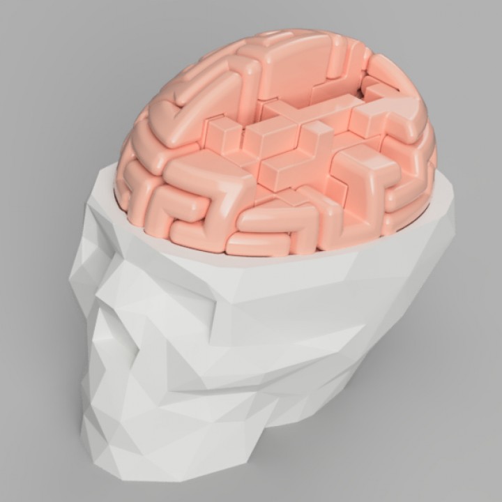 Dr. Brain Breaker image