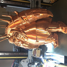 3D Printable Mondoshawan - The Fifth Element by cmag