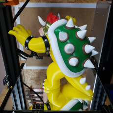 Picture of print of Bowser from Mario games - Multi-color