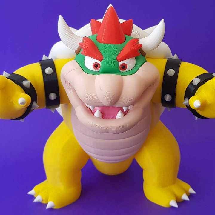 Bowser from Mario games - Multi-color image