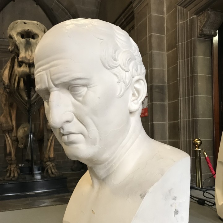 Marcus Tullius Cicero image