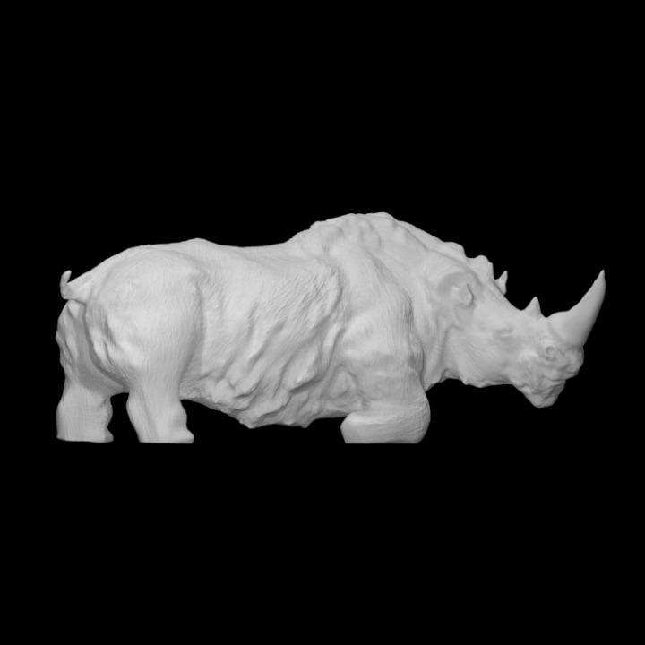Prehistoric rhinoceros image