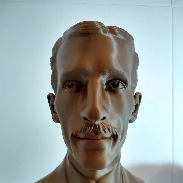 Nikola Tesla Bust 300mm Remix image