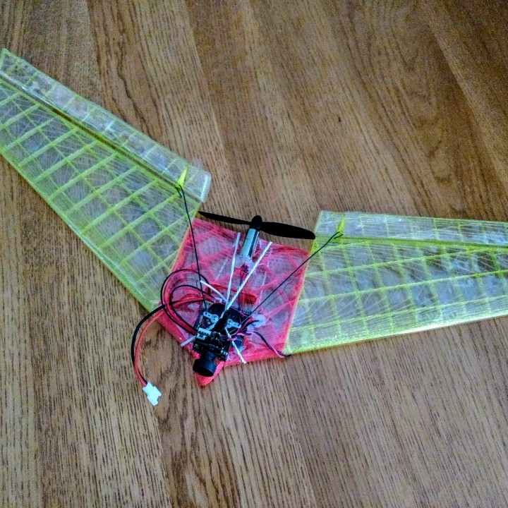 Flying Wing with FPV image