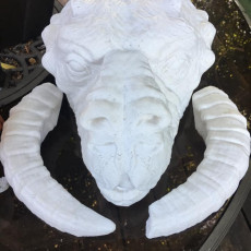 Picture of print of Tauntaun head