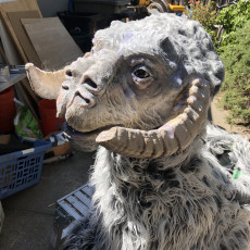 Picture of print of Tauntaun head