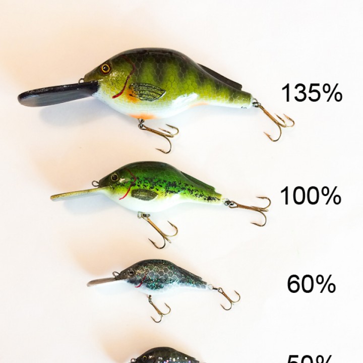 Crankbait Fishing Lure image