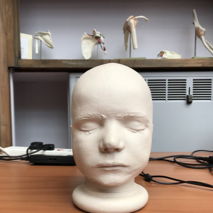 3D Printable John Amy Bird Bell by Anatomical Museum