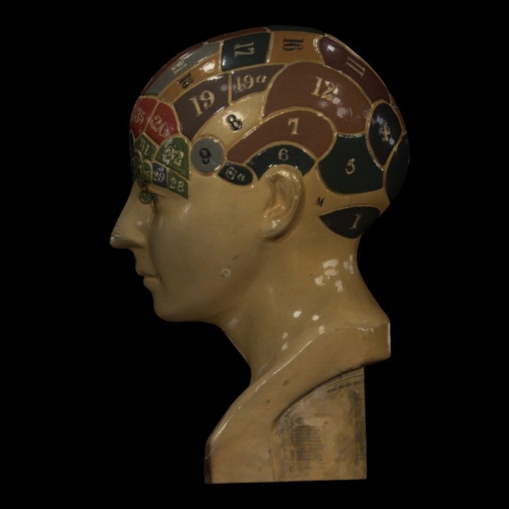 Phrenological Glazed Head image